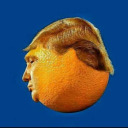 juicetrump2 avatar