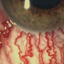 juliamartinsi avatar