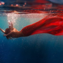 julias--paradise avatar