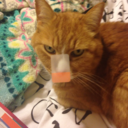 juniper-jellybeans avatar