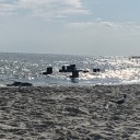 just-a-dumb-lesbian1 avatar