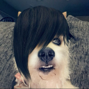 just-a-queer-fanboy avatar