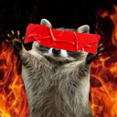 just-a-whumping-racoon-with-wifi avatar