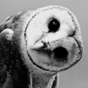 just-lurking-in-the-shadows avatar