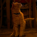 just-marvel-polls avatar