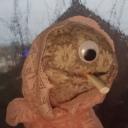 just-paukku-is-fine avatar