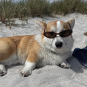 just-star-dust avatar