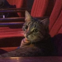 just-walk-around avatar