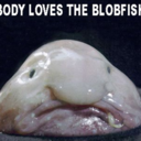 justablobfish avatar