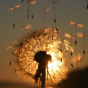 justadream-iloveu avatar