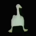 justaduckquack avatar