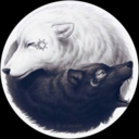 justalittledreamer avatar