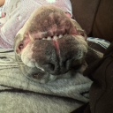 justly-justme avatar