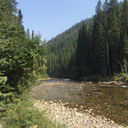 justnever-mind avatar