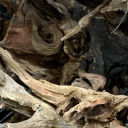 justracoonthingz avatar