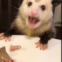 justsomeopossum avatar