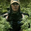 justwalterthings avatar