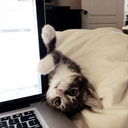 juzzybiebslife avatar