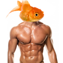 jwp1trr avatar