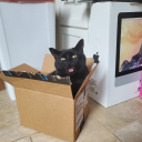 kadenonewitch avatar