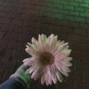 kalbikirikbiriyim avatar