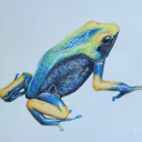 kaleidoscope-scratches avatar