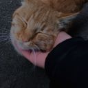 kalplibulutlar avatar