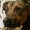 kaneki--coffee avatar