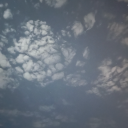 karincalarbilmedenseverlerr avatar