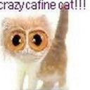 karkatisnotonfire avatar