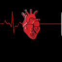 karolsalazarg avatar