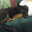 kashagal-blog avatar