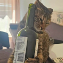 kasimeros-shilly avatar