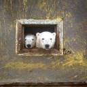 katerinealruddin avatar