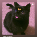 katwitchwriting avatar