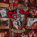 kaverichauhan avatar