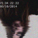 kayipbircocuk avatar