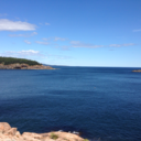 kaylieblossom avatar