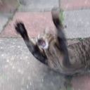 keepcalmandjustships avatar