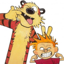 keepcalvinandhobbes avatar