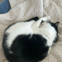 keepingituglierthanyou avatar