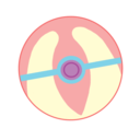 keiki-raises-pokemon avatar