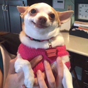 ketchupwater420 avatar