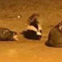 key-to-the-other-side avatar