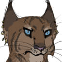 khajiit-djar-blog avatar