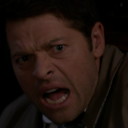 kibblewinchester avatar