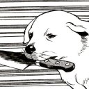 killerboyratz avatar