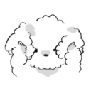 kimliptints-moved avatar