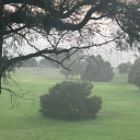 kimsatomheart avatar