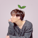 kimseongkyu avatar